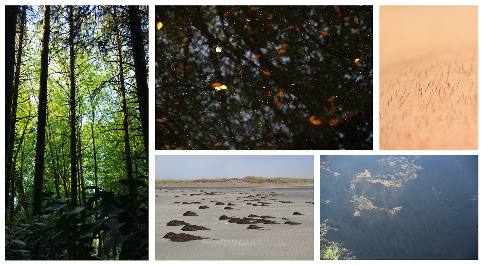 Vista xeral do proxecto